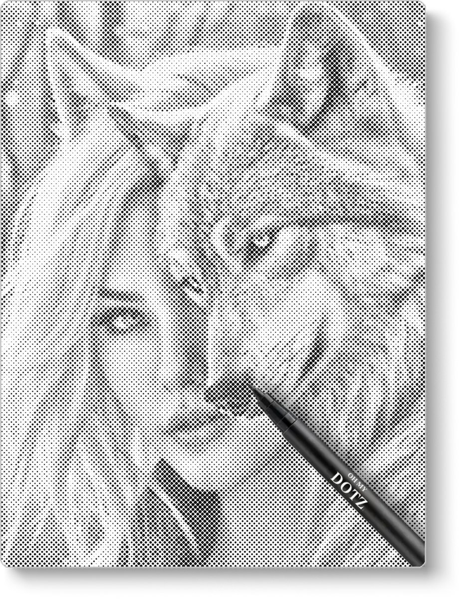 Vrouw Met Wolf | Stippelschilderij | 50x60cm  Meest gekozen | Dot painting | Oh My Dotz | Dots stippen | Diamond painting & Schilderen op nummer alternatief | Sinterklaas | Kerst